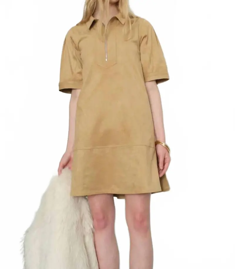 Sammy Mini Dress In Champagne Suede 1