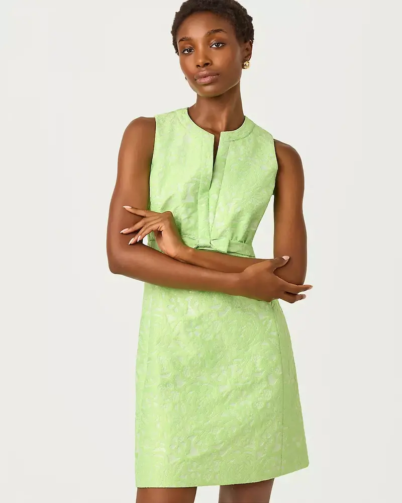 Sobel Shift Dress 1