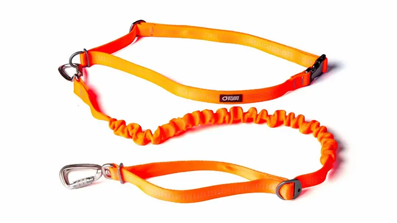 Stunt Runner Hands-Free Leash In Orange 1
