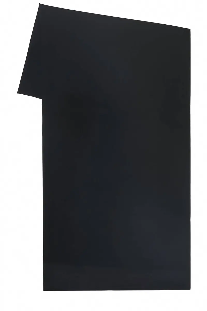 Tahlia Chiffon Scarf In Black 1