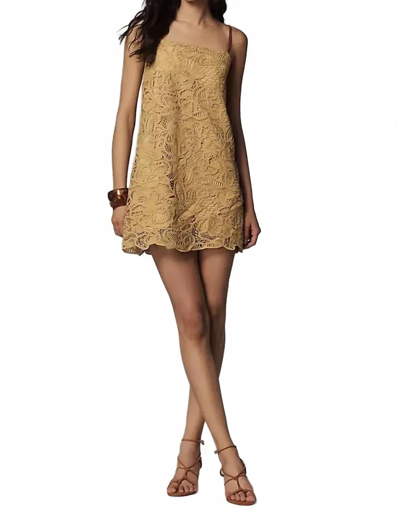Tansy Tunic Mini Dress In Dijon 1