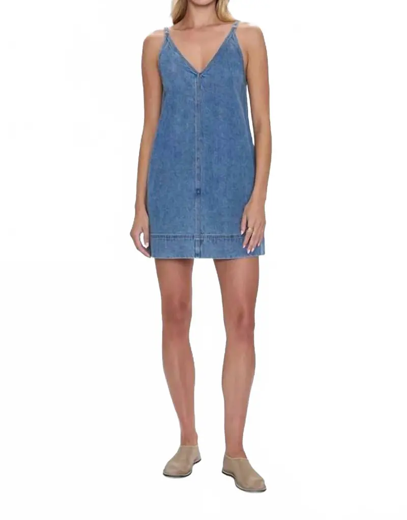 Tavi Mini Dress In Palms 1