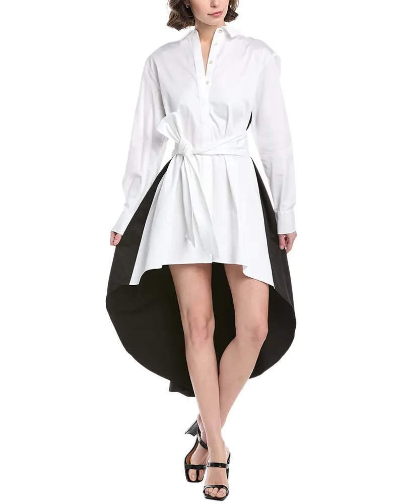 Toccin Ariella Pleated Fly Away Shirtdress 1