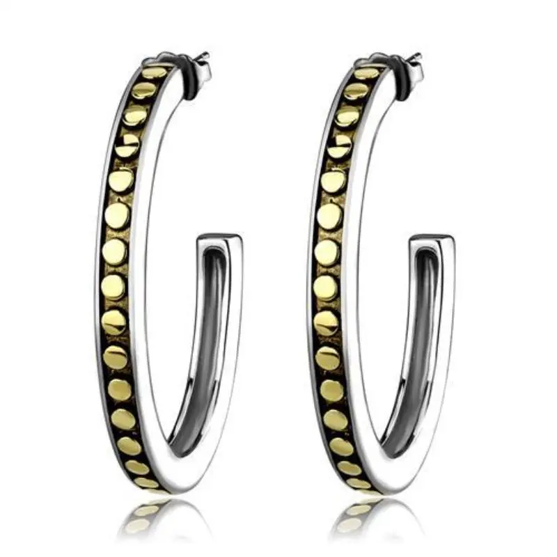 Two-Tone Ip Gold (Ion Plating) Stainless Steel Earrings With Epoxy In Jet 1
