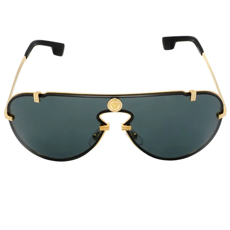 Versace Dark Gray Pilot Men's Sunglasses Ve2243 100287 43 1