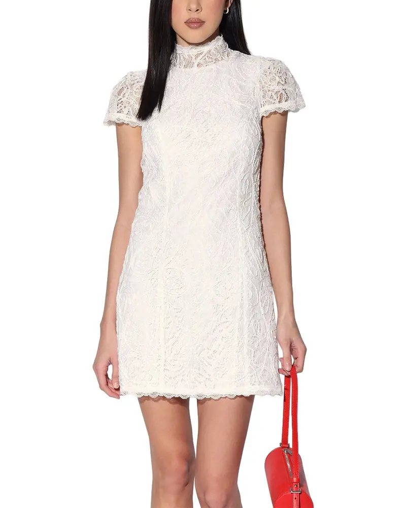 Walter Baker Ariana Dress 1