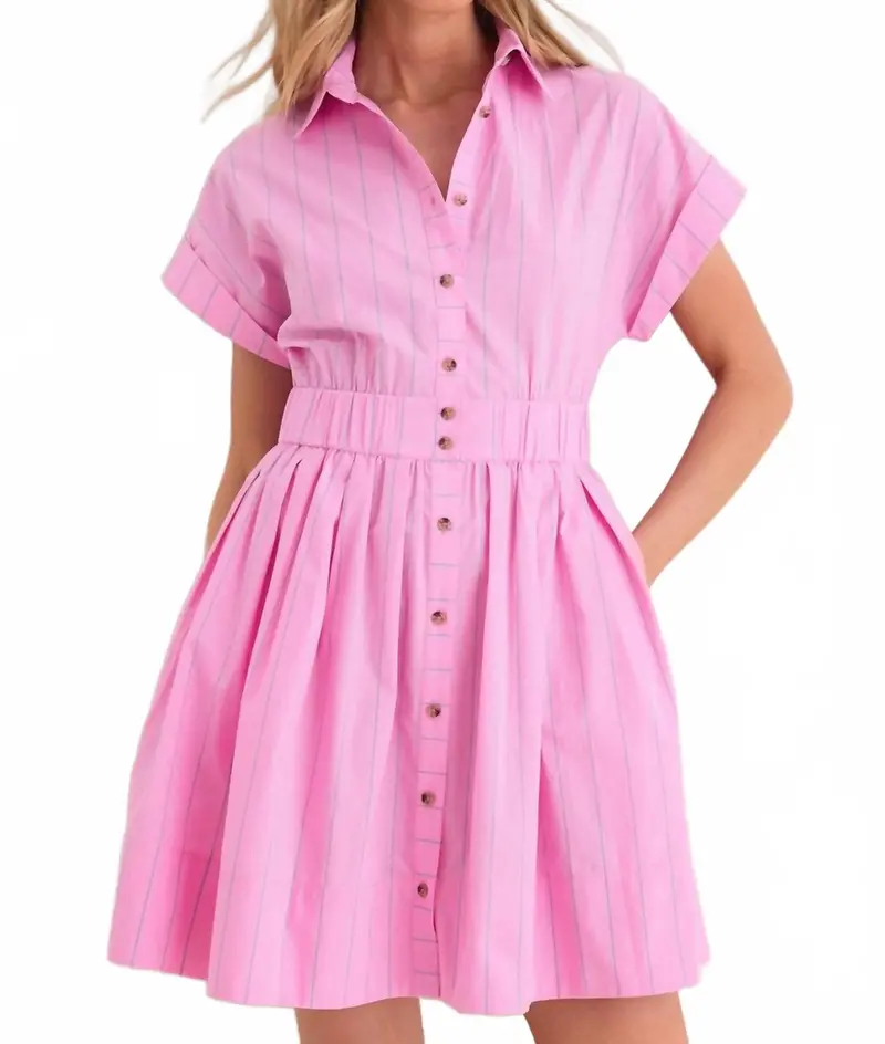 Watermelon Stripe Howard Dress In Pink 1
