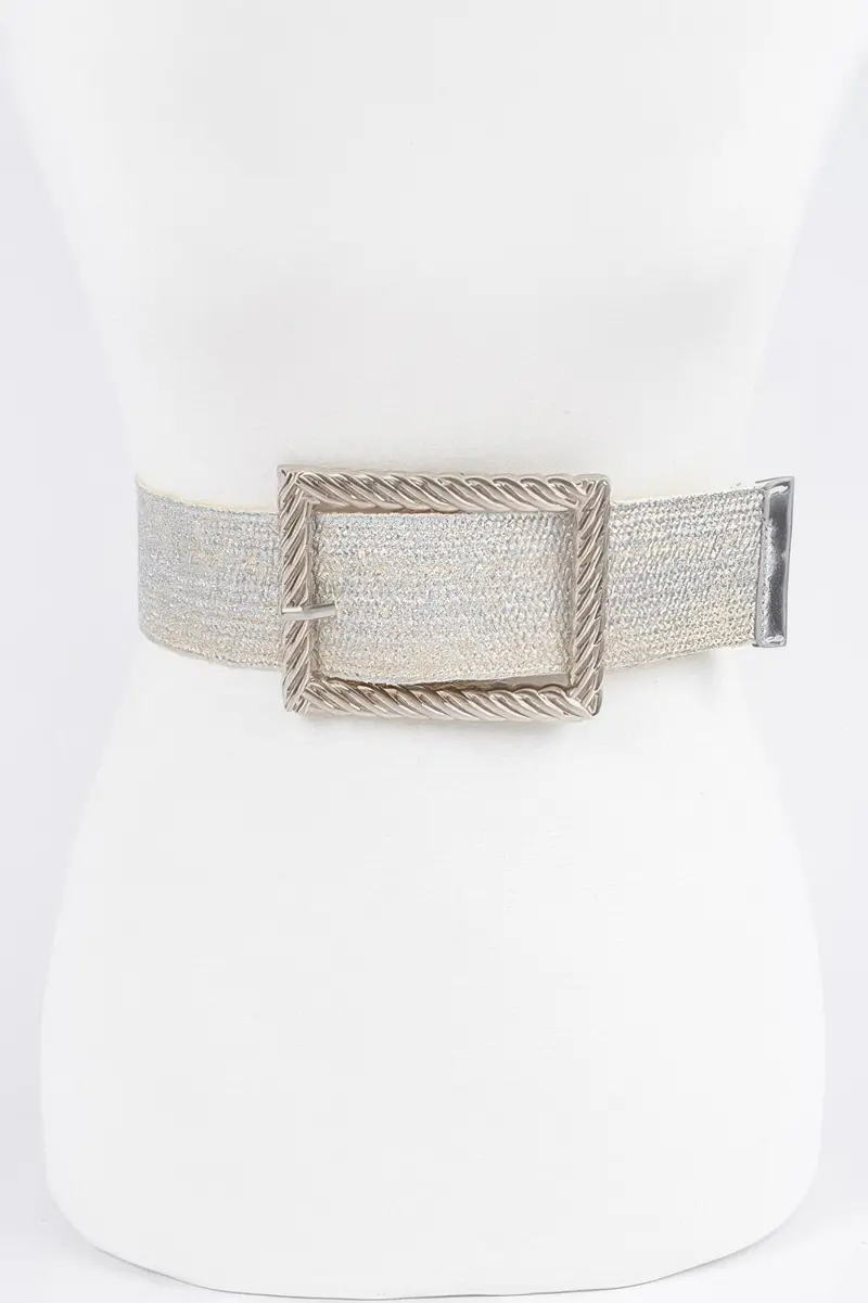 Wide Metal Buckle Clear Belt 1
