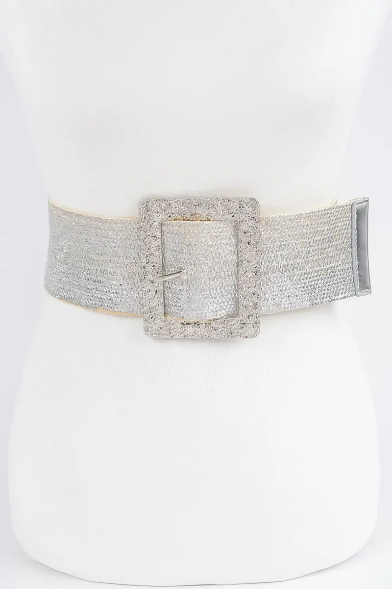 Wide Metal Buckle Clear Belt 1