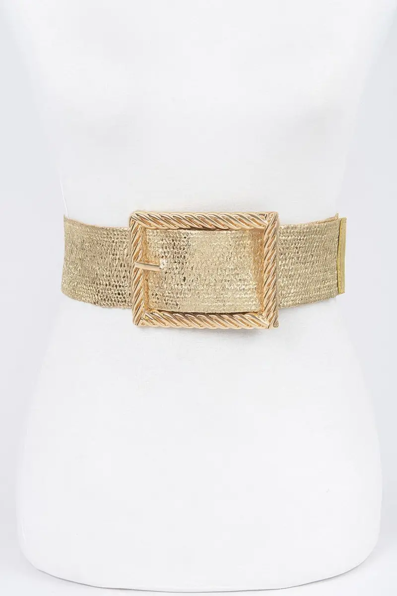 Wide Metal Buckle Plus Size Clear Belt 1