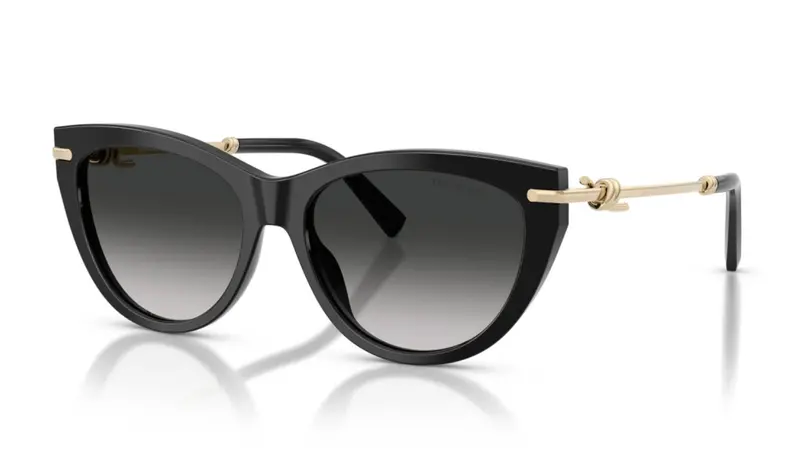 Women's Cat-Eye Sunglasses In Black 1
