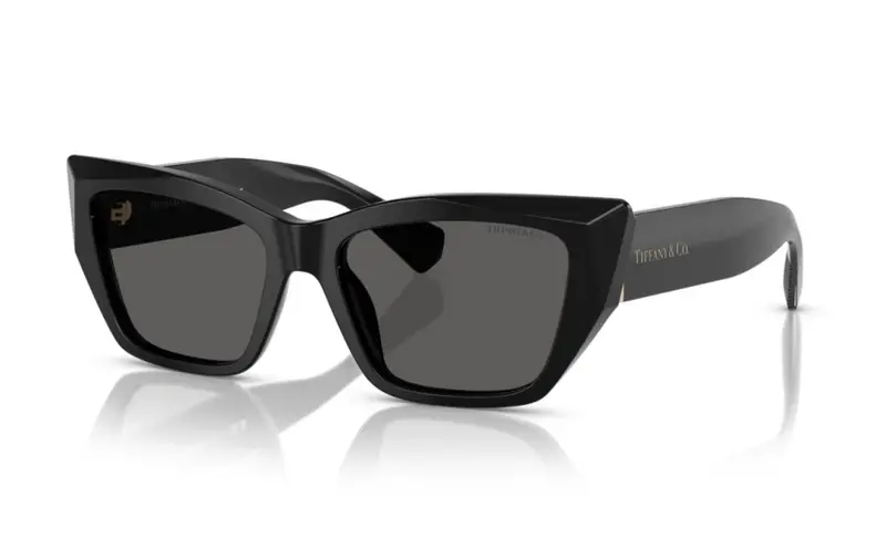 Women's Cat-Eye Sunglasses In Dark Grey 1