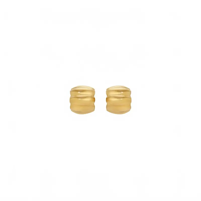 Women's Terre Earrings In Gold 1