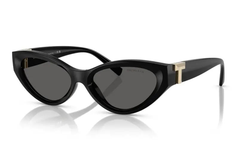 Women's Tf 4225U Sunglasses In Dark Grey 1