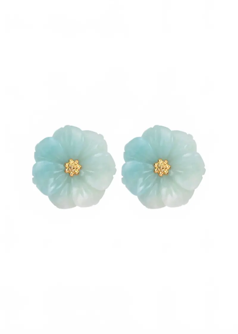 Women's Wynne Earrings In Amazonite 1