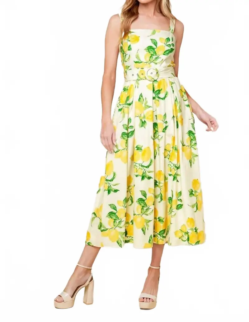 Woven Midi Dress In Ivory Print 1