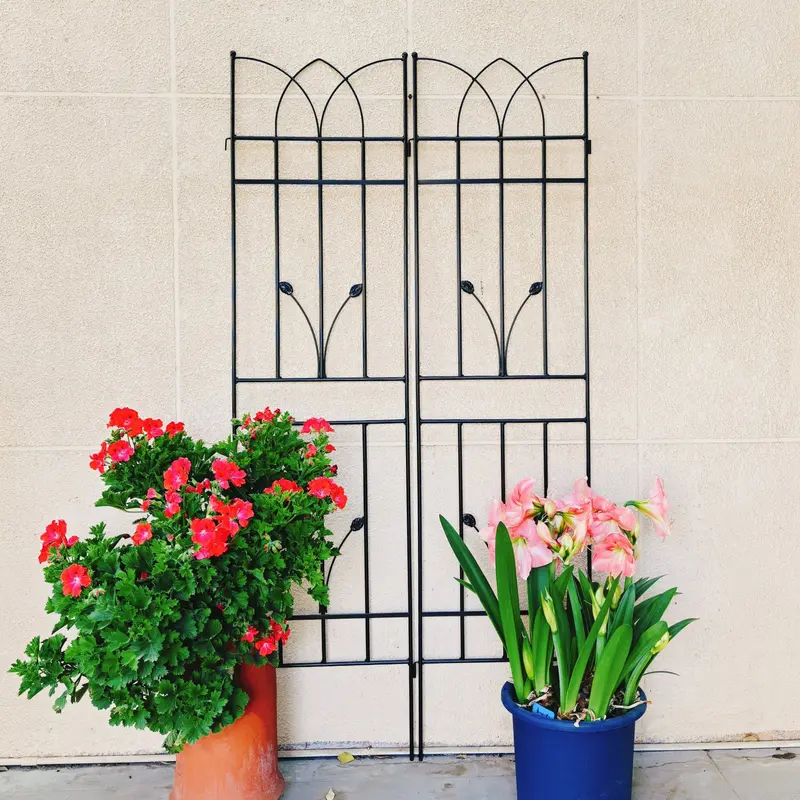 Wow Pioneer 2 Pack Outdoor Garden Trellis For General Plant Support 1