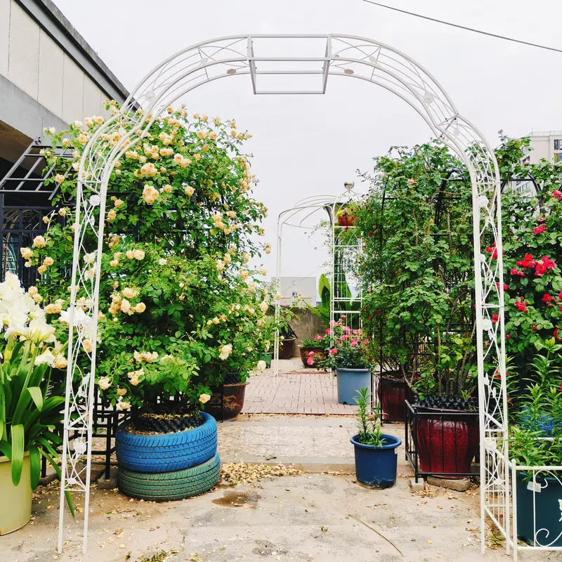 Wow Pioneer Garden Arch Arbor Trellis Climbing Plant Outdoor Support Structure 1