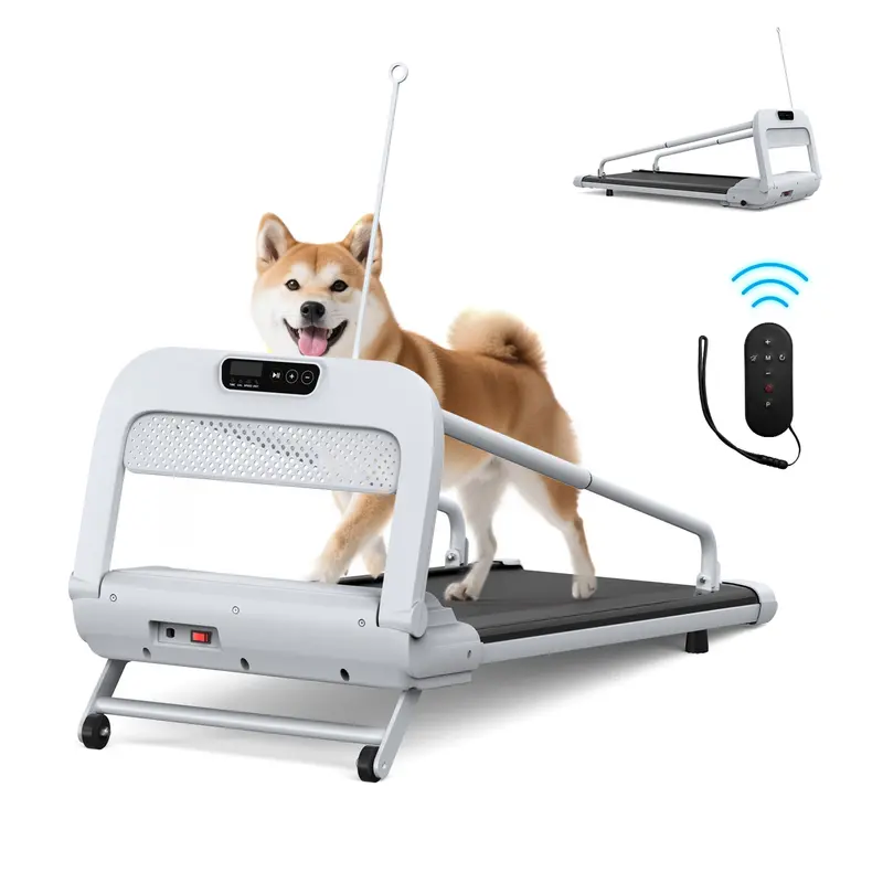 Wow Pioneer Pet Treadmill With Adjustable Speed For Small To Medium Dogs 1